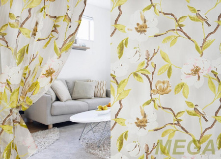 Деворе Органза в Дагестане