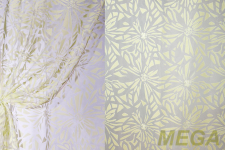 Деворе Органза в Дагестане